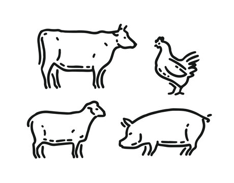 Farm domestic animals icon set in linear style. Cow, sheep, chicken, pig symbol vector illustration