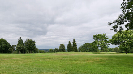 Landscape with field in the foreground, trees and grey sky in the background