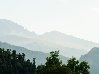 Mountain landscape with forest in the foreground.