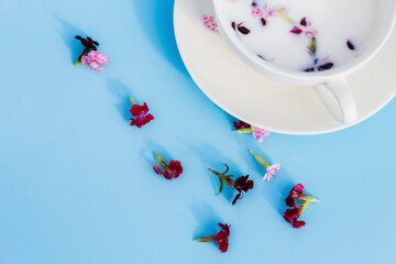 White Cup with vegan milk and flowers on a blue background. Concept of vegetarian drinks and food, herbal teas, beauty and health, Spa