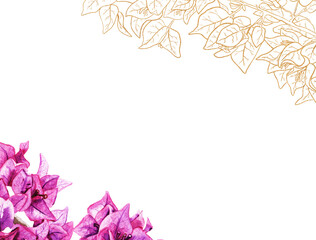 Template for greeting cards with bougainvillea flowers
