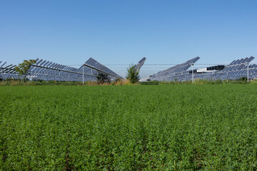 Agrivoltaic