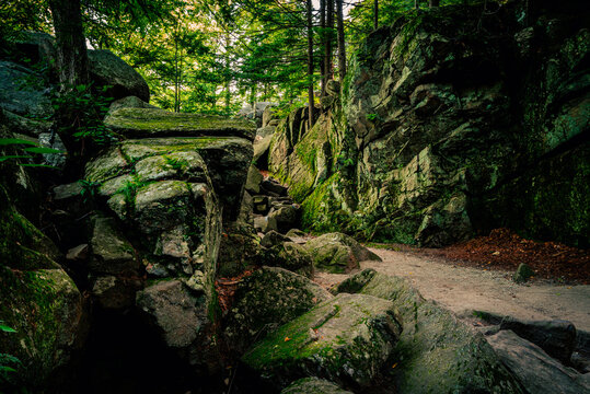 Rocky valley with ancient glacial stones at Purgatory Chasm in Massachusetts