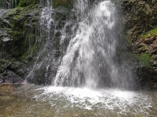 NatureBoy. Pure Nature