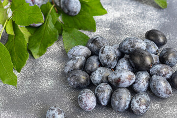 Plums on a light background. Harvesting the autumn harvest. Making jam and sauce. Still life.