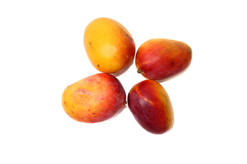 Lal Badshah Mangoes Isolated on White Background