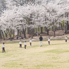 people walking in the park