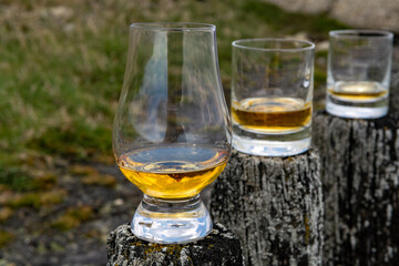 Tasting of dram single malt scotch whisky on seashore in Scotland, old wooden pole with whisky glass