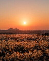 sunset in the desert