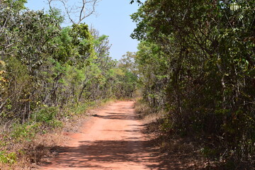 paisagem do Cerrado