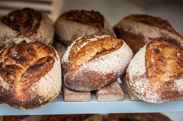 French bakery with fresh baked breads and buns