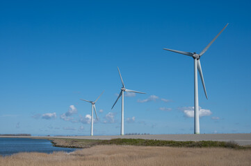 Dutch landscape, windmills in Zeeland, birdswatching and coliny of pink flamingos on Grevelingenmeer, Netherlands