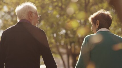 Back view of elderly couple holding hands while walking together in park . Rear view of romantic senior couple resting , relaxing in nature . Happiness people lifestyle . Slow motion footage . - Powered by Adobe