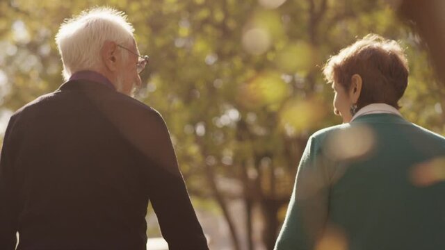 Back view of elderly couple holding hands while walking together in park . Rear view of romantic senior couple resting , relaxing in nature . Happiness people lifestyle . Slow motion footage .