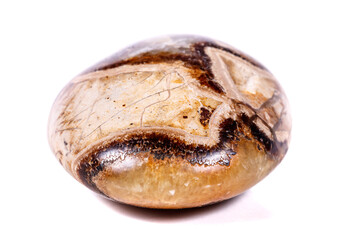 Macro mineral stone Simbirzit and Septaria on white background