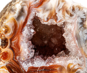 Macro mineral stone agate kidney gerbera on white background close up