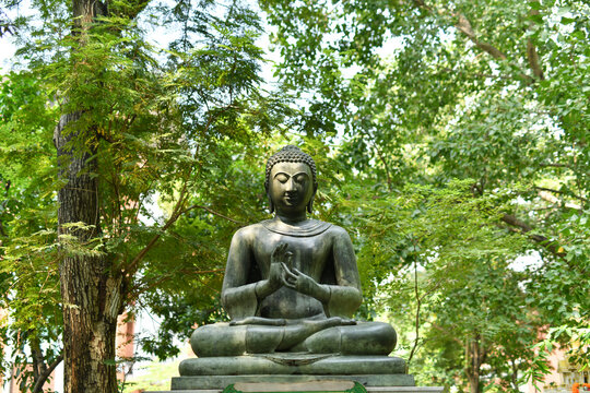 A stone Buddha image sitting in the middle of a shady garden.