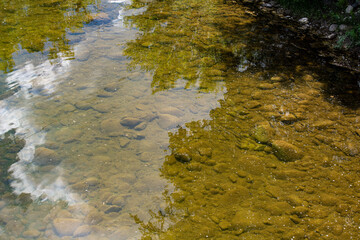 water, river, stream, nature