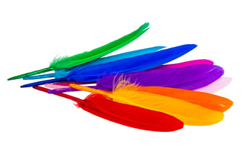 Multicolor feathers isolated on the white background