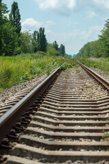 The rails with concrete sleepers go far into the green grass. The railroad line runs between the trees. In the background is a blue sky. The concept of railroading.