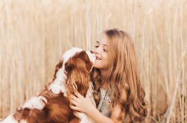 Little girl with a cavalier king charles spaniel dog playing in the summer in nature