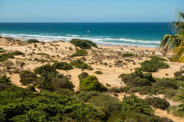 sand dunes on La Barrosa beach in Sancti Petri, Cadiz