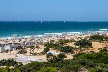 Fototapeta na wymiar sand dunes on La Barrosa beach in Sancti Petri, Cadiz