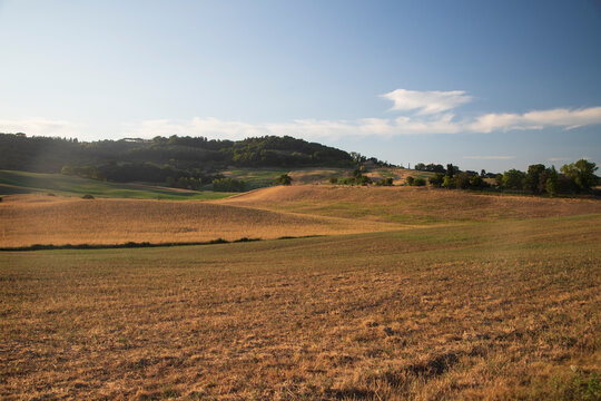Toscana , campagna toscana vigneti e colline 