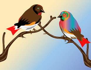 Couple birds lovers on the branch of Tree 