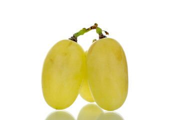 Three berries of organic juicy green grapes, close-up, isolated on white.