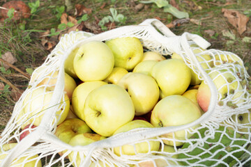 Apples in eco bag, on the grass, zero waste concept.