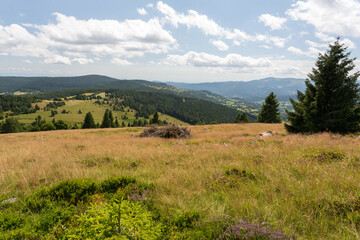 Versant et bruyère, vue vers la vallée