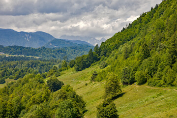 Fototapeta na wymiar the beautiful hiking trail in the green hills to the vintgar gorge