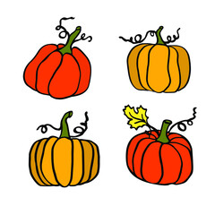 Pumpkin with autumn leaves  hand drawn ilustration for fall hollyday