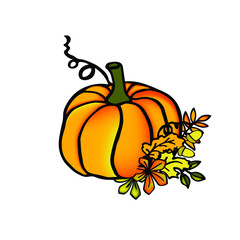 Pumpkin with autumn leaves  hand drawn ilustration for fall hollyday