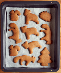 Freshly baked Christmas gingerbread cookies - traditional holiday pastry