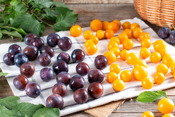 Fresh plums, cherry plums dry on a napkin before freezing. Frozen berries.