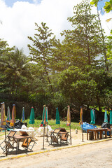 beach chairs on the beach