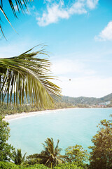 Palm trees on the beach.Coconut trees on sun light and clouds background