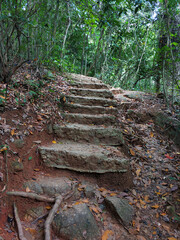 Steps made of stones in the jungle. Hiking trail for tourists