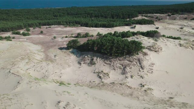 Curonian Spit, Efa dune. A sand dune is bordered by a forest.