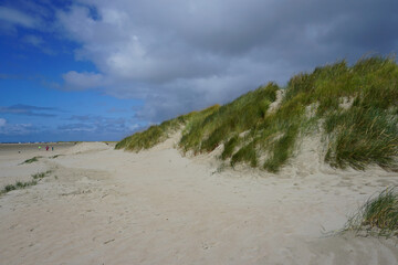 Blick entlang der Dünen auf den Lakolk Strand auf Römö in Dänemark