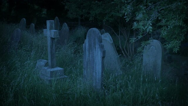 Windy Cemetery In The Evening