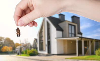 Woman holding dead cockroach and blurred view of modern house on background. Pest control