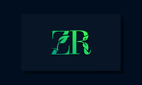 Minimal leaf style Initial ZR logo
