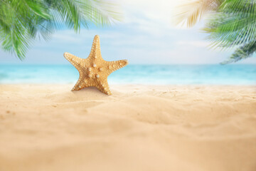 Naklejka na ściany i meble Beautiful sea star on sandy beach. Space for text