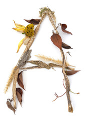 Letter A made of dried flowers.