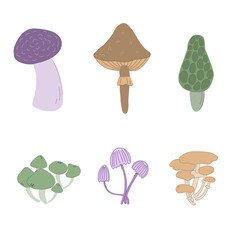 Various mushrooms hand drawn colorful vector illustration. Edible mushrooms and toadstool. Forest fungus. 