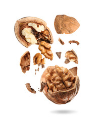 Broken walnut and pieces of shell flying on white background