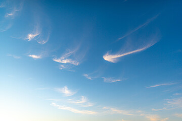 cumulus clouds in a blue sky